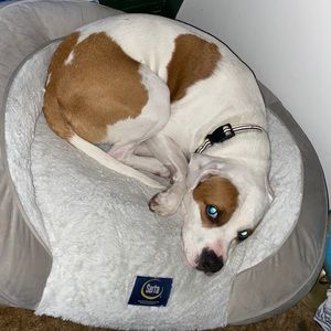 Meet your Posher, Kennedy